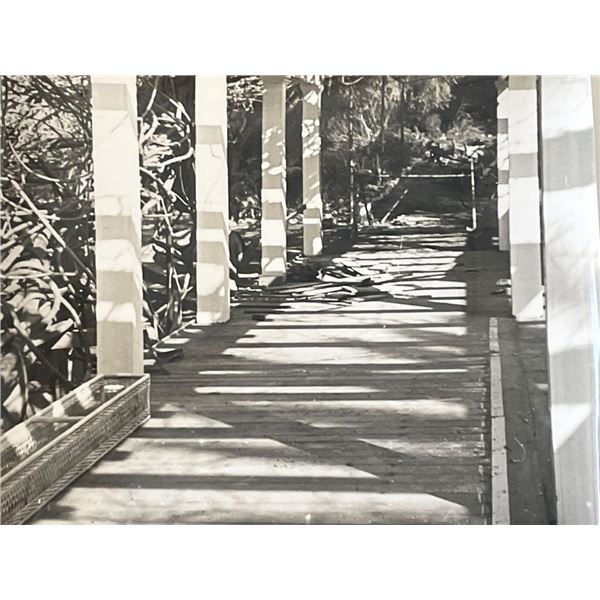 Sierra Madre Wistaria Vine Gardens vintage photo