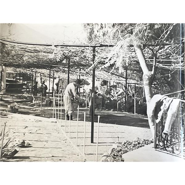 Sierra Madre Wistaria Vine Gardens vintage photo