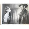 Image 1 : Sterling Hayden photo