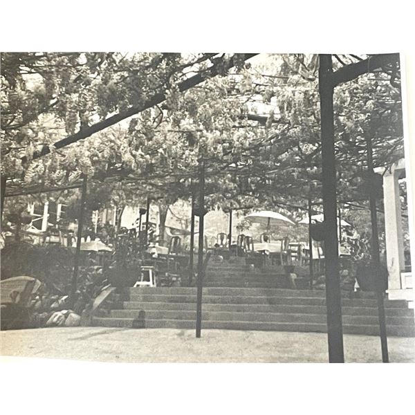 Sierra Madre Wistaria Vine Gardens vintage photo