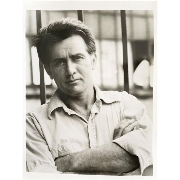 Martin Sheen original vintage photo
