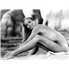 Image 1 : Bo Derek reprint photo