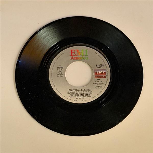 The John Hall Band Crazy 45 Album