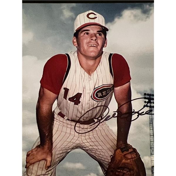 Cincinnati Reds Pete Rose signed photo