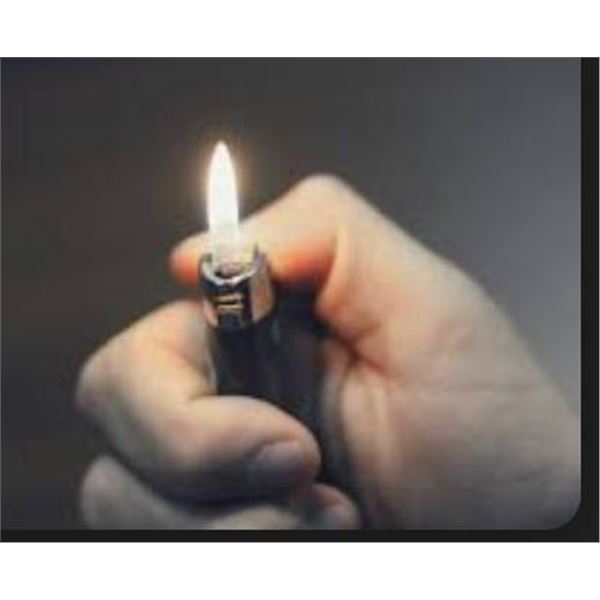Lot of 11 Disposable Lighters with Assorted Colors
