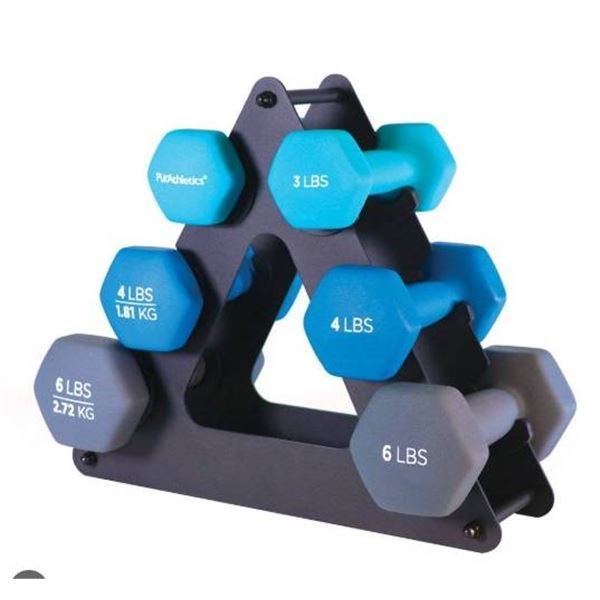 PurAthletics 26 lbs Dumbbell Set with Stand