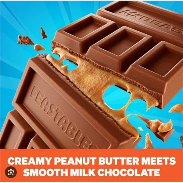 MrBeast Feastables Peanut Butter Chocolate 24 x 35g Bars