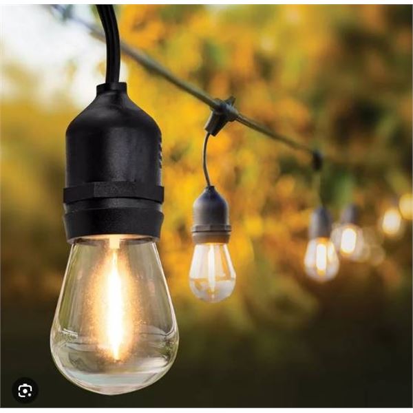 Feit Electric LED String Lights, 14.6m (48 ft), 24 Bulbs