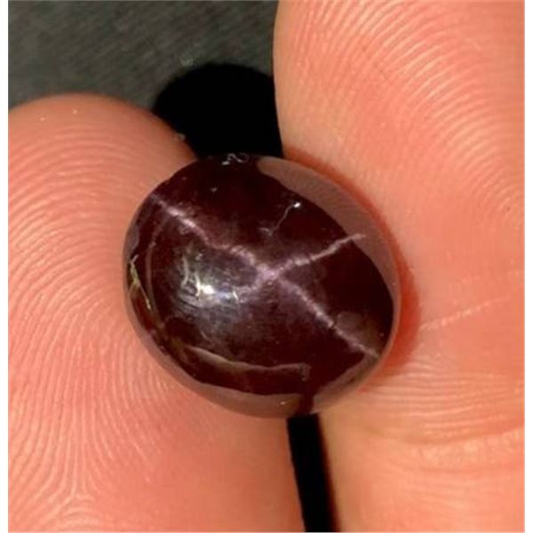 14.1 ct Certified Star Garnet gemstone ($10,575 Appraisal)