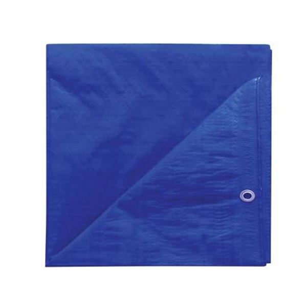 Project Source 20 Ft X 30 Ft Blue Tarp 3 Mil