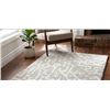 Image 1 : 36 in x 48 in Gray and White Patterned Rug