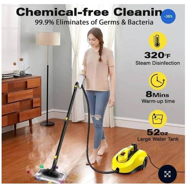 TVD Steam Cleaner Model SW608-A with 99.9 Percent Sanitization Efficiency