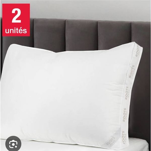Lot of 2 -Roots Home Premium Luxury Queen PillowsÂ