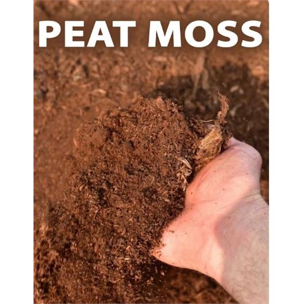 Co-op Gold Peat Moss 3.8 Cu. Ft. Compressed Sphagnum - 100 Percent Organic
