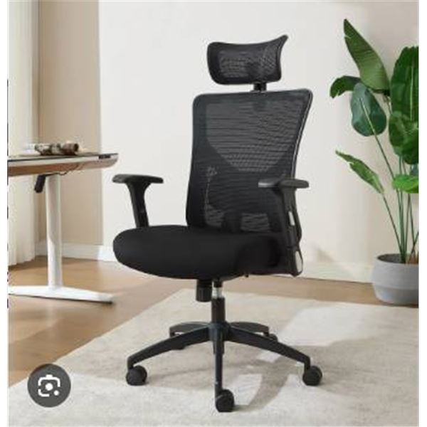 True Wellness Ergonomic Mesh Chair with Adjustable Features