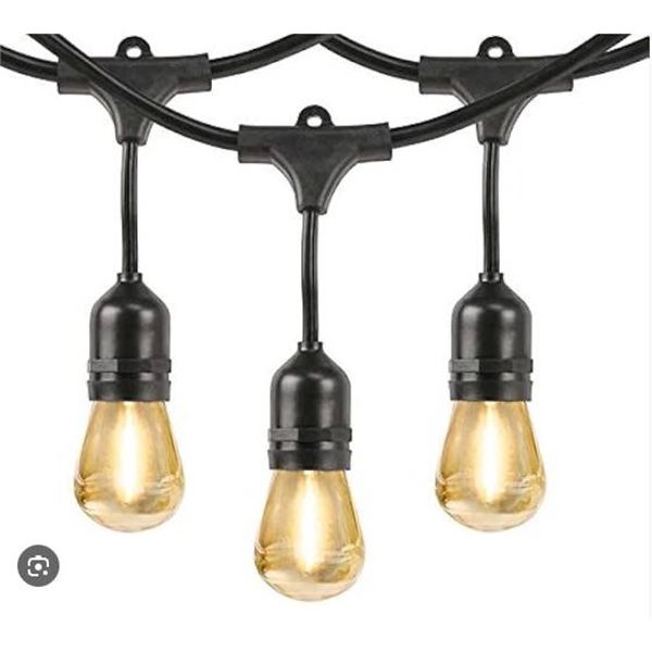 Feit Electric LED String Lights 48 Ft With 24 Bulbs