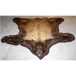 Large Brown Bear Skin Rug