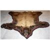 Image 1 : Large Brown Bear Skin Rug