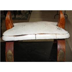 Camel Saddle