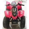 Image 1 : Small Red 90cc Quad