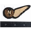 Image 1 : #197 WW2 Royal Canadian Air Force Navigator wings