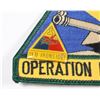 Image 2 : #216 Operation Desert Storm Insignia + Pin