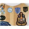 Image 4 : #260 WW2 1943 to 1979 RCAF Plaque named Insignia