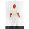 Image 1 : #460 1983 Kenner Star Wars ROTJ Admiral Ackbar