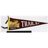Image 1 : #862  1900's Pennant Trail British Columbia Moose