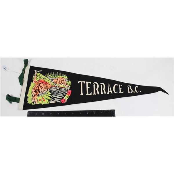 #896 1900s Pennant Terrace British Columbia Beaver