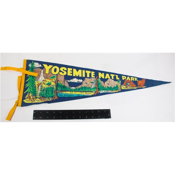 #900  Pennant Yosemite National Park California