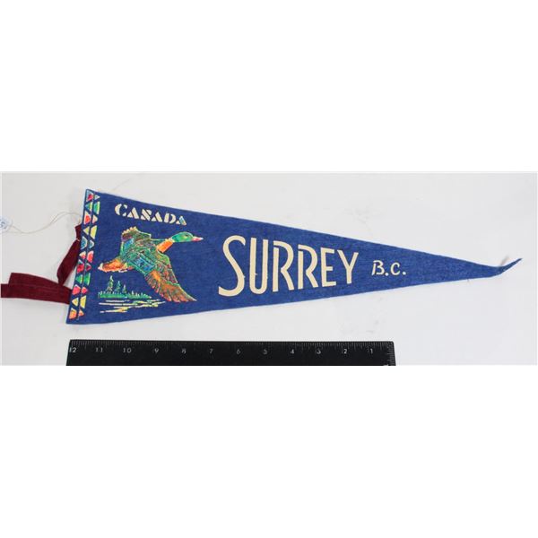 #923 1900's Pennant Surrey British Columbia Duck