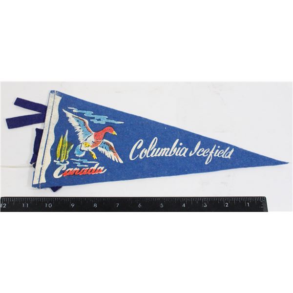 #956 1900's Pennant Columbia Icefield Small Size