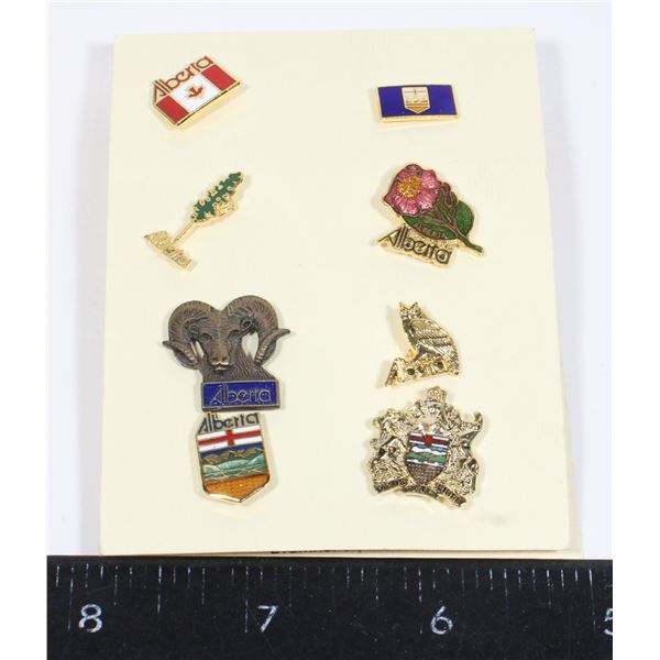 #1018 Drumheller Alberta vintage pins on Card