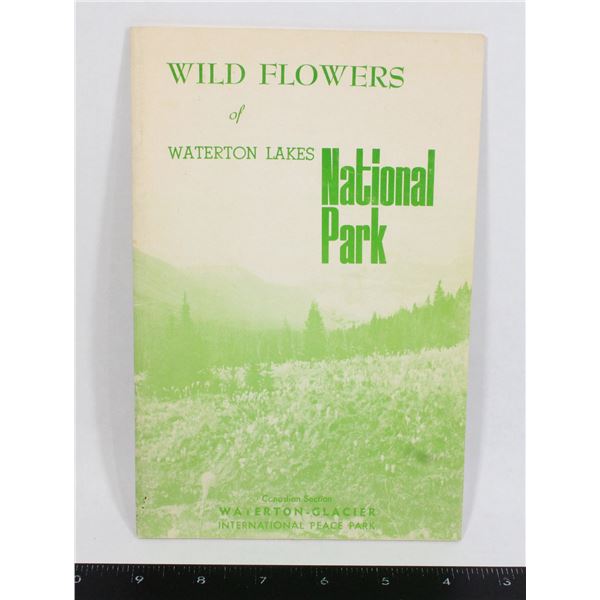 #1047 Wild Flowers of Waterton Lakes National Park