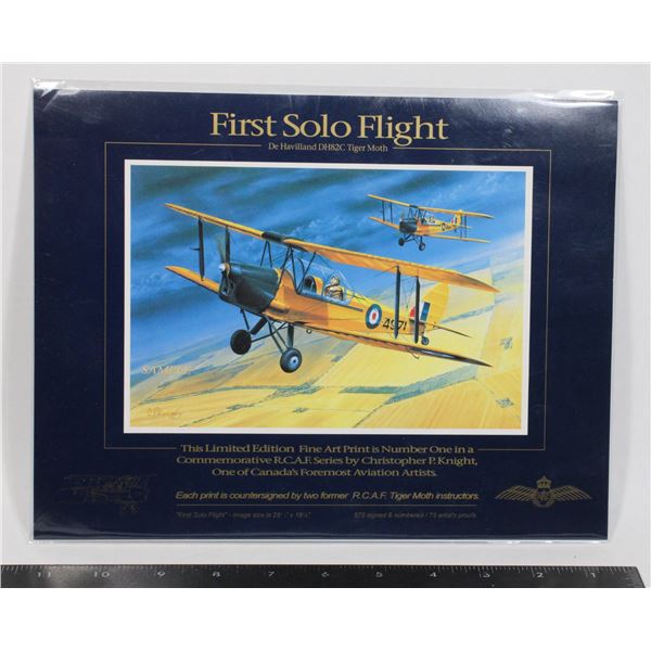 #1059 First Solo Flight Small Size Print 11x9 Inch