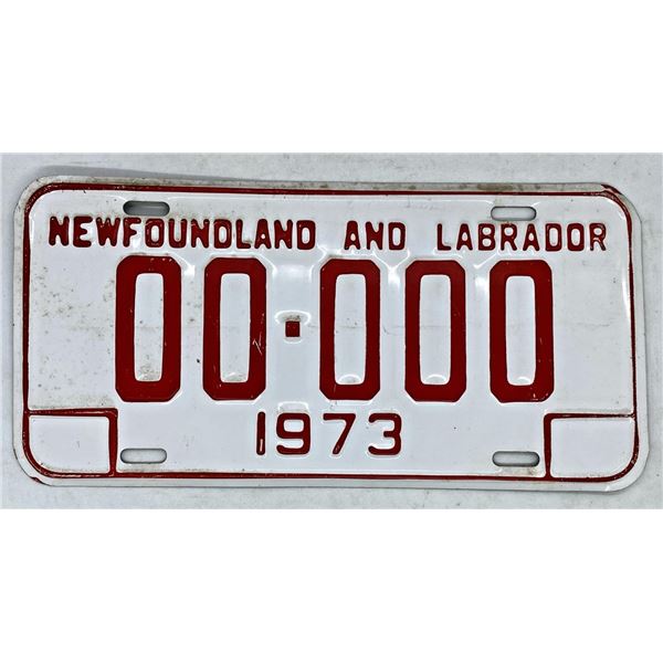 1973 N.L. Sample License Plate