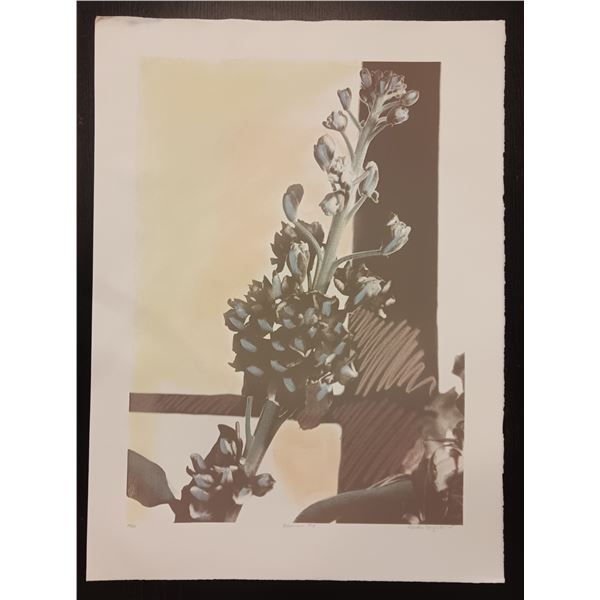 Bloomers #4 24/285 by Susan S.