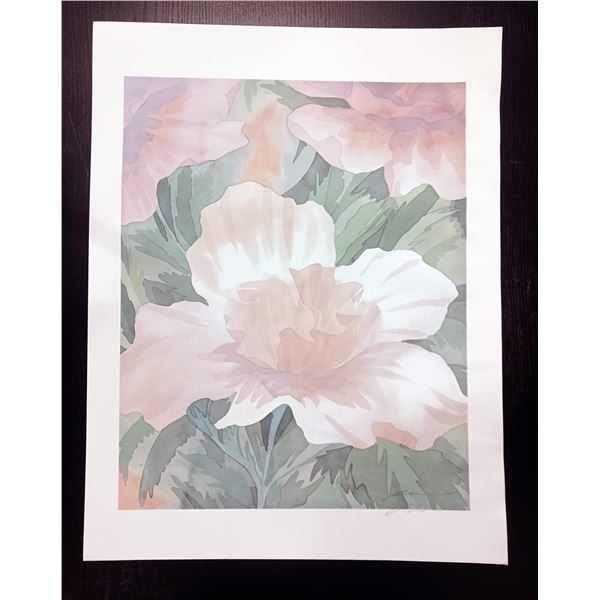 Robert White, Flower Watercolor Print #1 Signed