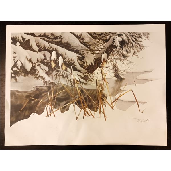 Jack Reid - Cat Tails - 450 S/N Limited Edition