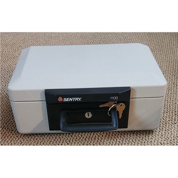 Sentry 11000 safe