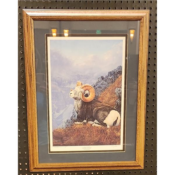 Stone Sheep Print