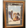 Image 1 : Rocky Mountain Bighorn Sheep Print