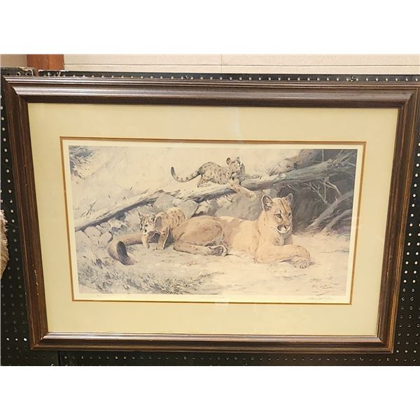 Ken Carlson Mountian Lion and Kittens Print