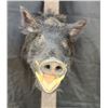 Image 1 : Pig Neck Mount