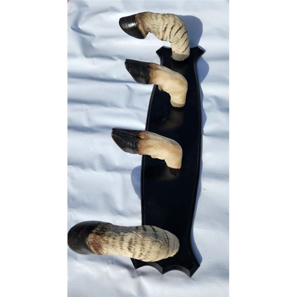 Hoof Coat Rack