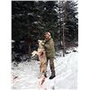 Image 1 : Ontario Wolf Hunt for Two