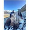 Image 2 : New Zealand Alpine Hunt with Chamois or Tahr Included