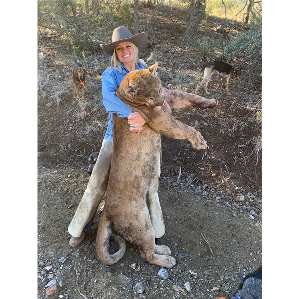 Dieringer Outfitters 5-Day Fully Guided Mountain Lion Hunt