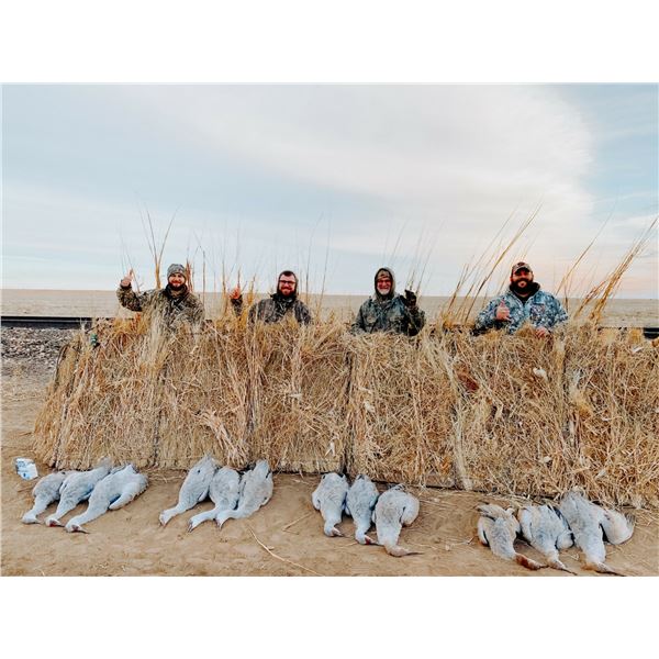 Texas Sandhill Crane Hunt for up to 4 people